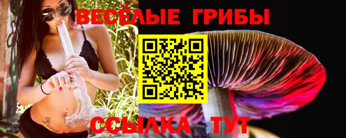 Галлюциногенные грибы мицелий Сызрань