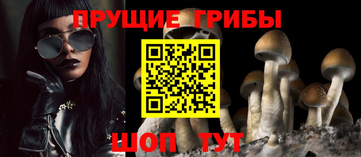 Псилоцибиновые грибы MAGIC MUSHROOMS  Вход с VPN  Сызрань  Псилоцибиновые грибы MAGIC MUSHROOMS 